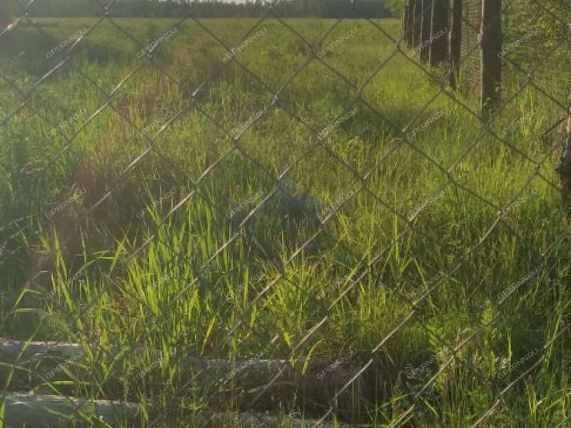 земельный участок 18 соток деревня Мошкино, Бриляковский сельсовет