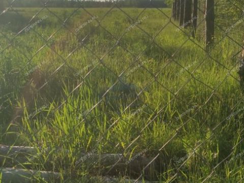 derevnya-moshkino-brilyakovskiy-selsovet-gorodeckiy-rayon фото