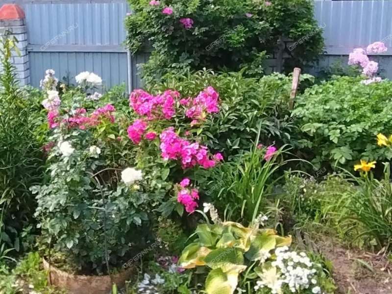 дом на улице Глебова деревня Новоликеево