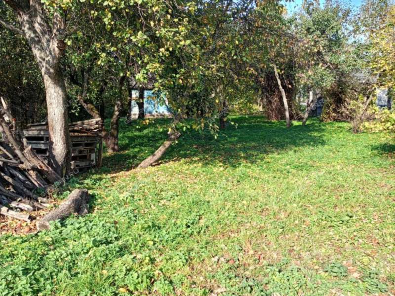 земельный участок 12,6 сотки Нижегородская область, Бор, ТСН Труд, 76 город Бор